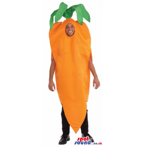Funny Big Carrot Vegetable Plush Adult Size Costume - Custom