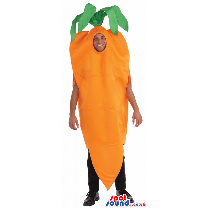 Funny Big Carrot Vegetable Plush Adult Size Costume - Custom