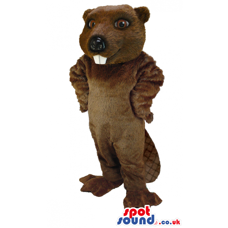 Tall standing beaver mascot with white teeth and flat, thick