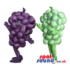 Two Cool Green And Purple Grape Couple Plush Mascots. - Custom