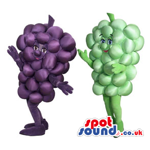 Two Cool Green And Purple Grape Couple Plush Mascots. - Custom
