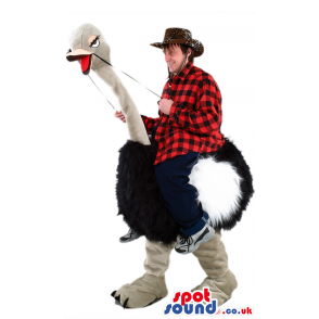 Giant rideable black and white ostrich mascot with grey feet -