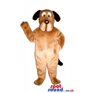 Cute Brown Dog Plush Mascot With Black Ears And White Eye