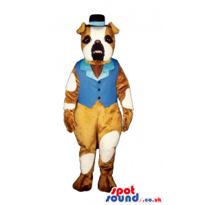 Cute Pit-Bull Dog Plush Mascot Wearing Blue Old-Times Clothes -