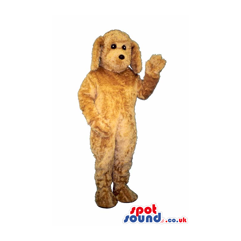 Customizable Cute All Brown Curly Hair Poodle Dog Plush Masco - Dog mascots - MASUK007018 - SpotSound.co.uk