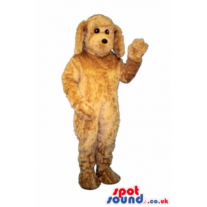 Customizable Cute All Brown Curly Hair Poodle Dog Plush Masco - Dog mascots - MASUK007018 - SpotSound.co.uk