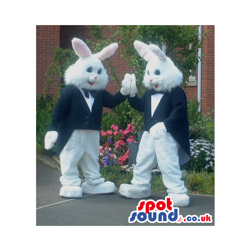 Two white rabbit mascot wearing black tuxedo with black bow tie