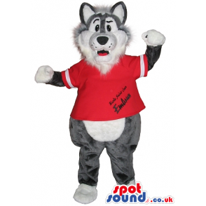 Grey Wolf Plush Mascot Wearing A Red Sports Shirt With Text -