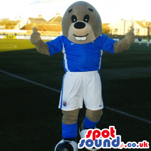 Cute Grey Seal Animal Mascot Wearing Blue Sports Clothes -