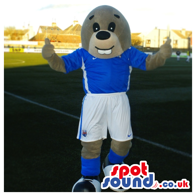 Cute Grey Seal Animal Mascot Wearing Blue Sports Clothes -