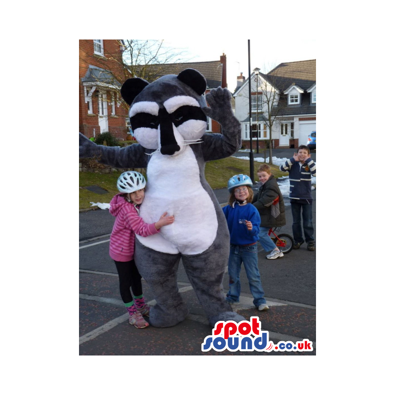 Grey badger mascot with white underbelly and black and white