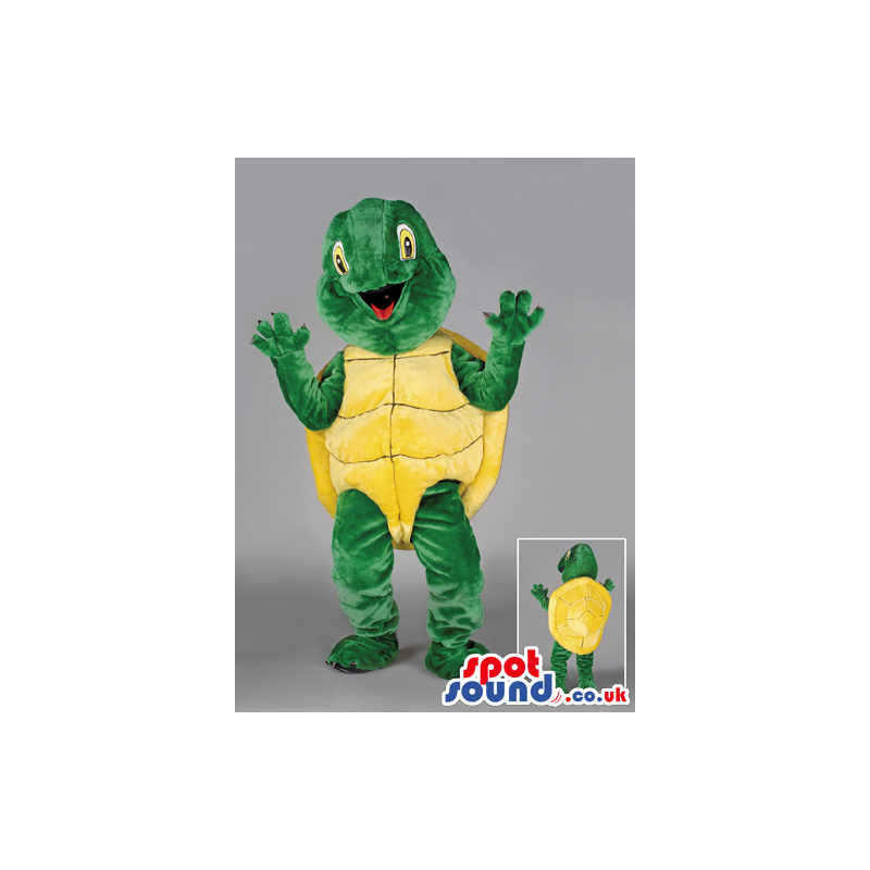 Joyous looking green tortoise with yellow carapace and eyes -