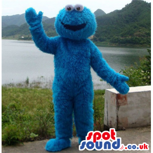 Blue Hairy Cookie Monster Character Plush Mascot - Custom