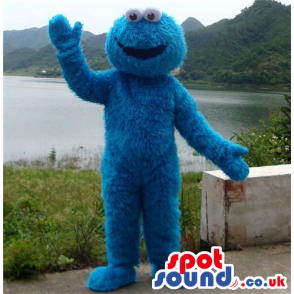 Blue Hairy Cookie Monster Character Plush Mascot - Custom