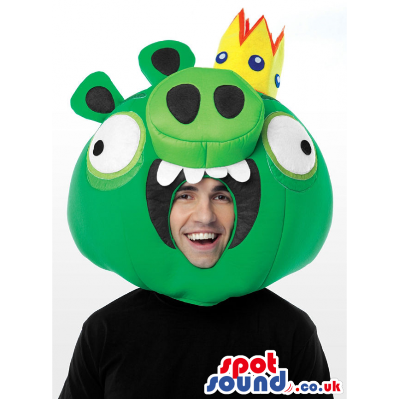 Cute Green Angry Birds Character Adult Size Mask Head - Custom