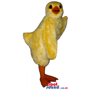 Customizable Cute Yellow Soft Chicken Plush Mascot - Custom
