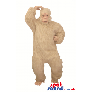 Big Hairy White Chimpanzee Or Gorilla Plush Mascot - Custom