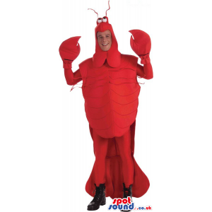 Big Red Lobster Adult Size Plush Costume Or Mascot - Custom