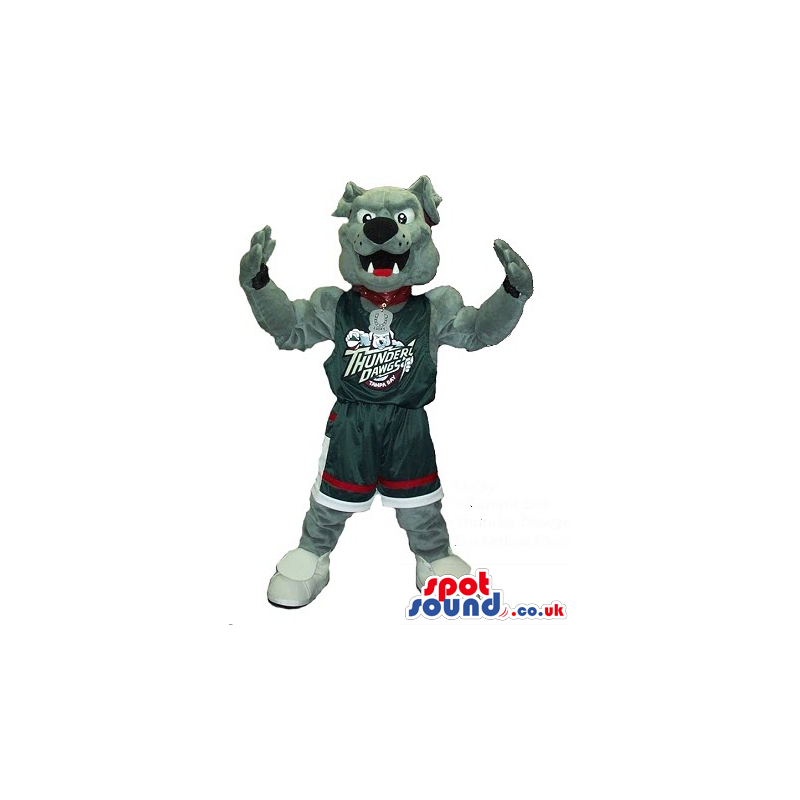 Grey Bulldog Plush Mascot In Basketball Team Clothes With Text