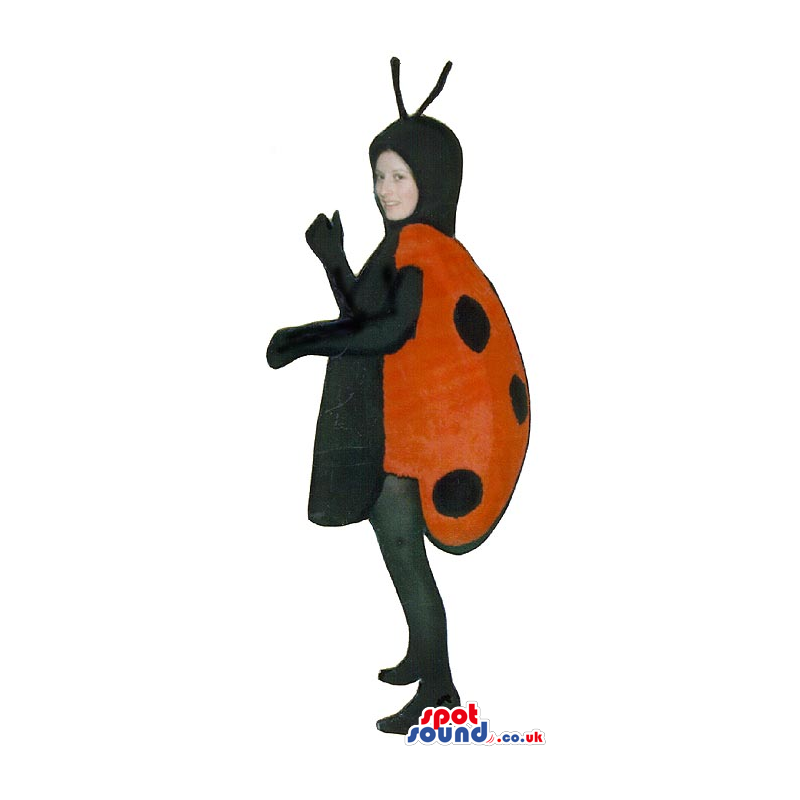 Red And Black Ladybird Children Size Plush Costume - Custom