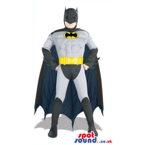 Realistic Cool Batman Character Adult Size Costume - Custom