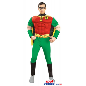 Batman Robin Marvel Cartoon Character Adult Size Costume -