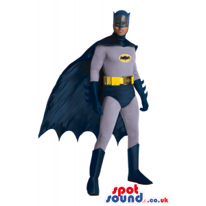 Batman Marvel Cartoon Character Adult Size Costume - Custom