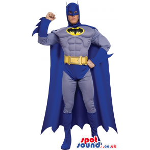 All Blue Batman Cartoon Character Adult Size Costume - Custom