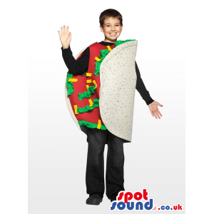 Cool And Flashy Mexican Taco Children Size Costume - Custom
