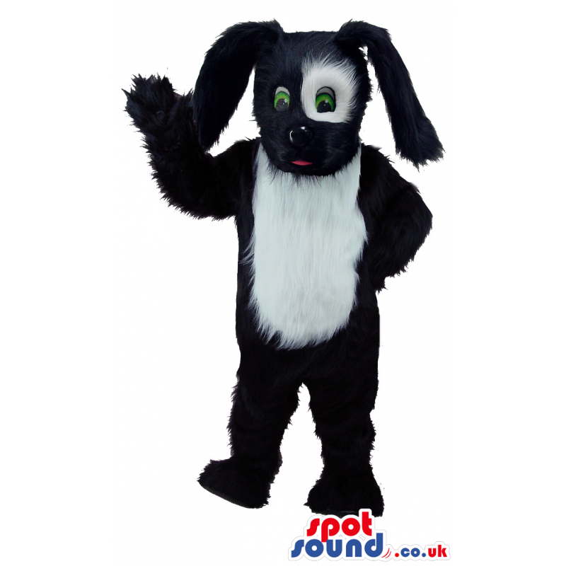 Big fluffy black dog mascot with white patch around the eyes -