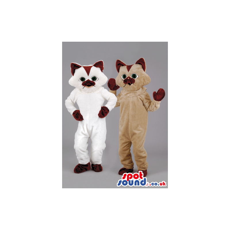 Two velvet touch cat mascot with brown ears and paws - Custom