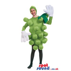 Cool Green Grape Cluster Fruit Adult Size Costume Or Mascot -