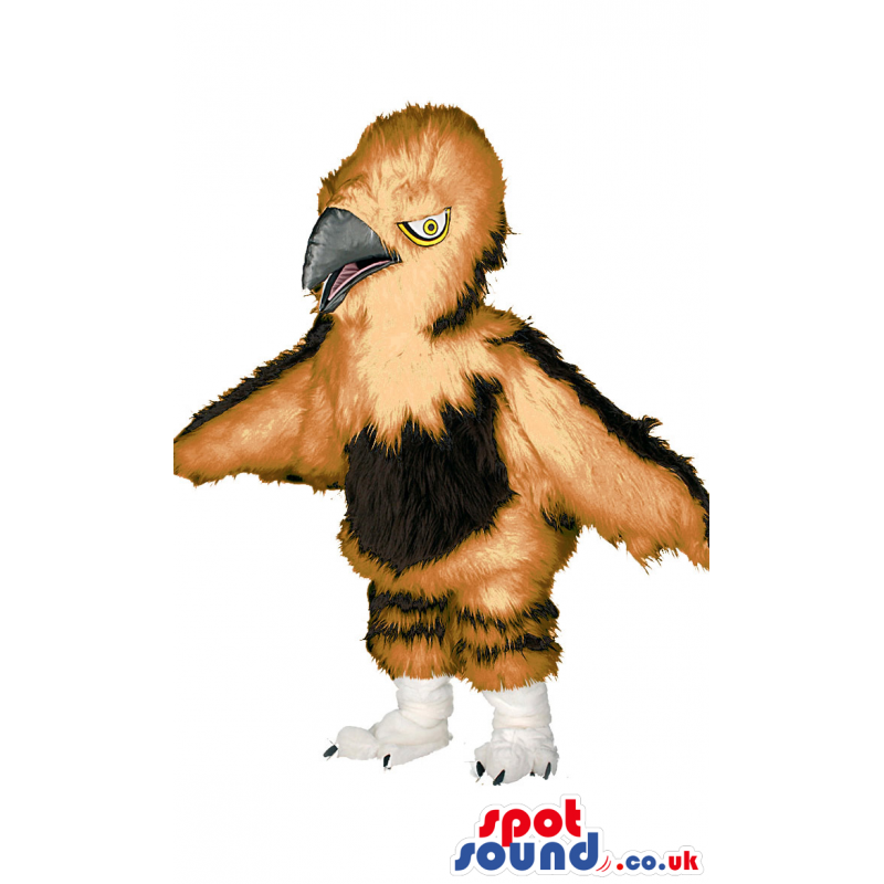 Golden eagle mascot, brown and white. Eagle Sizes L (175-180CM)