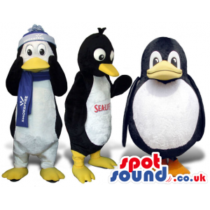 Three Penguin Plush Mascots In Different Sizes And Garments -