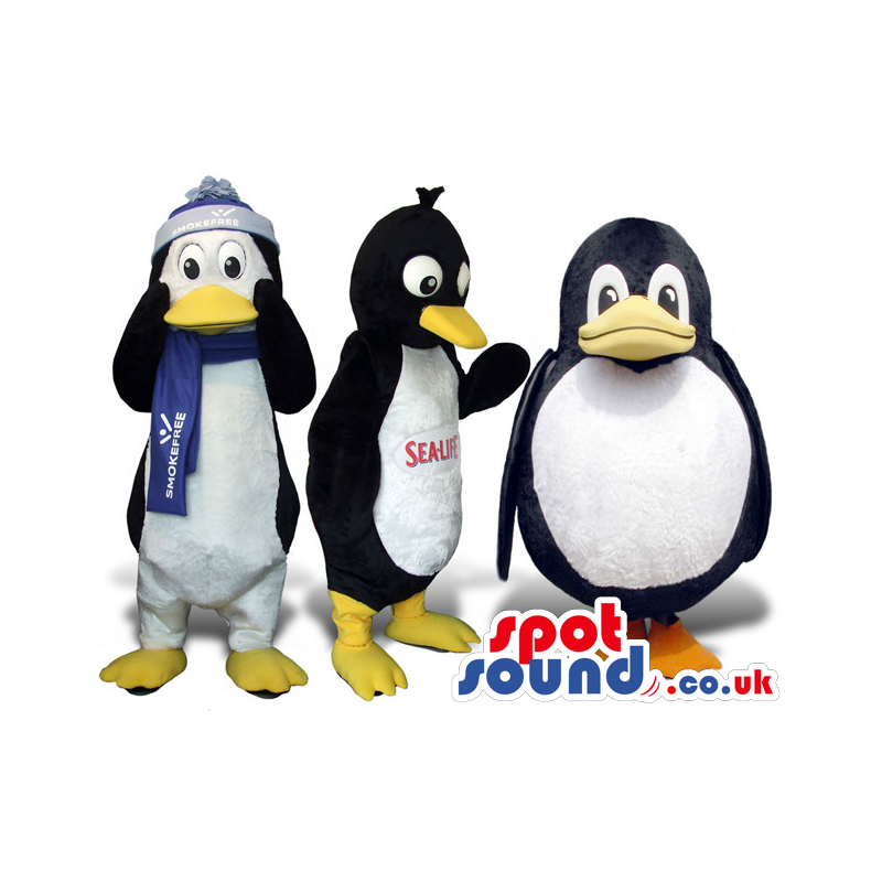 Three Penguin Plush Mascots In Different Sizes And Garments -