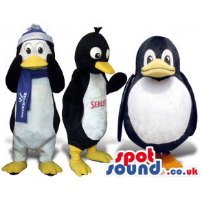Three Penguin Plush Mascots In Different Sizes And Garments -