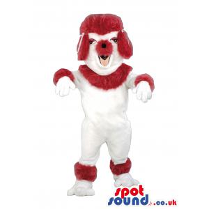 Red dog mascot dressed up in red and in white and with red hair