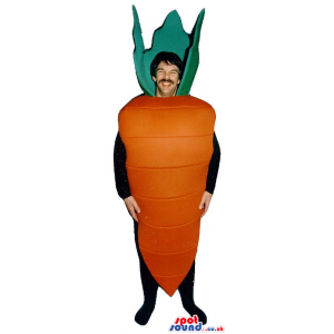 Customizable Carrot Vegetable Adult Size Costume Or Mascot -