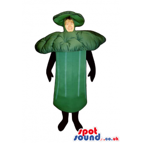 Customizable Green Mushroom Adult Size Costume Or Masco - Mascots for fruit and vegetables - MASUK007915 - SpotSound.co.uk