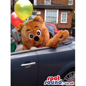 Brown, happy fluffy Teddy bear mascot with black wide eyes -