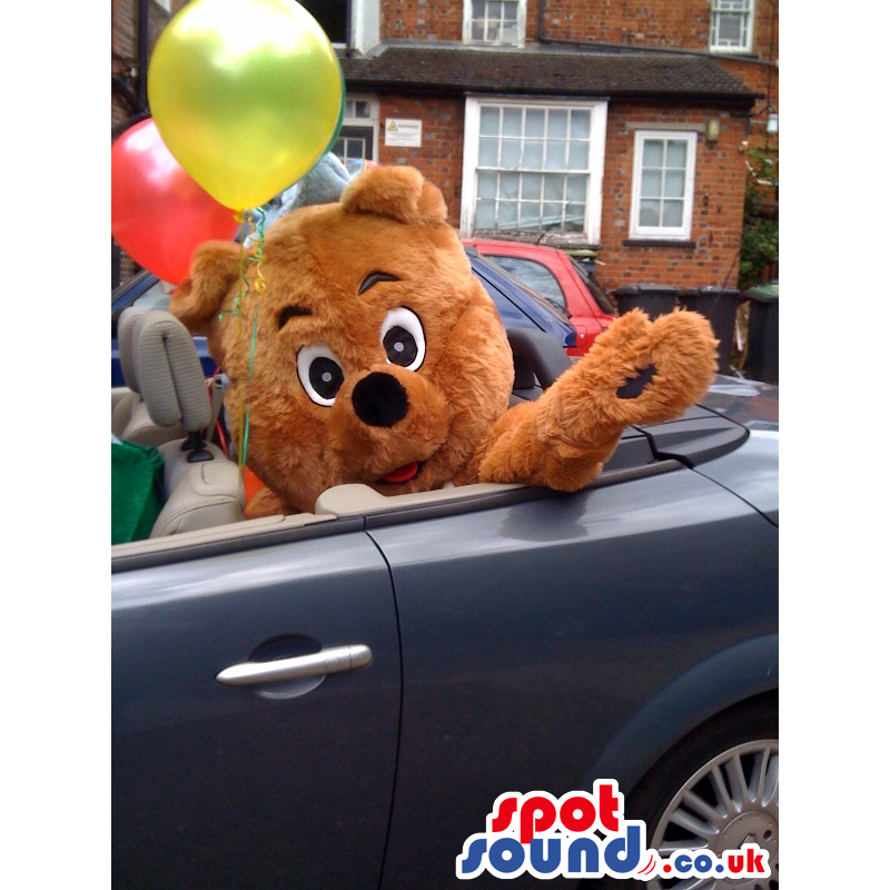Brown, happy fluffy Teddy bear mascot with black wide eyes -