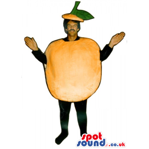 Customizable Orange Fruit Adult Size Costume Or Mascot - Custom