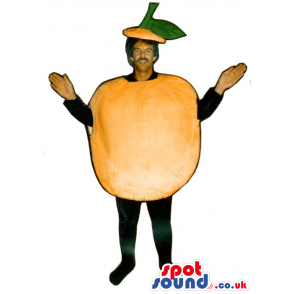 Customizable Orange Fruit Adult Size Costume Or Mascot - Custom