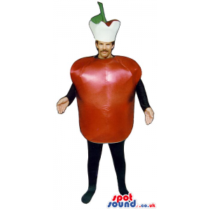 Red Apple Fruit Adult Size Costume Including A Stem Hat -