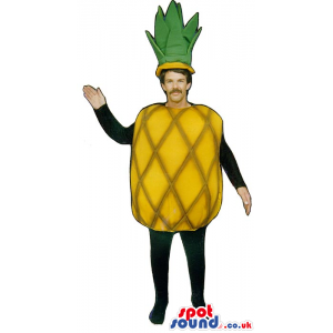 Yellow Pineapple Fruit Adult Size Costume Or Mascot - Custom
