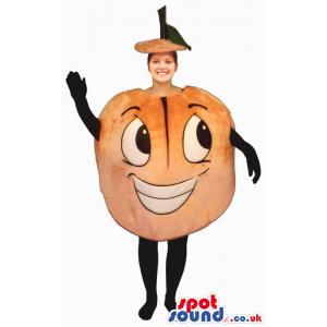 Orange Adult Size Costume Or Mascot With A Funny Face - Custom