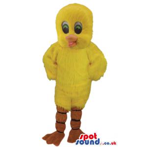 Yellow chicken mascot in cute smile and with an innocent look -