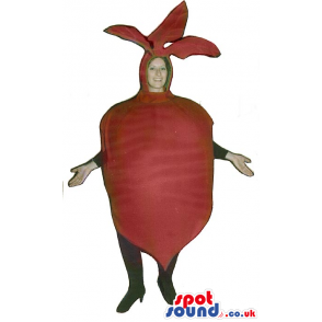 Big Red Turnip Vegetable Adult Size Costume Or Mascot - Custom