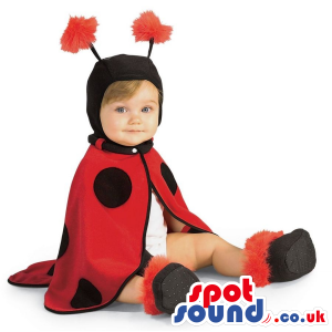 Cute Ladybird Baby Size Costume With An Antennae Hat - Custom