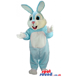 Cute looking baby blue rabbit mascot with white underbelly